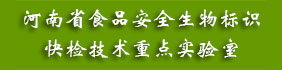 螺旋管-螺旋鋼管-湖南無縫鋼管-螺旋鋼管廠家_盛仕達鋼鐵股份有限公司
